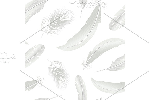 3d White Bird Feathers Set in Illustrations - product preview 3