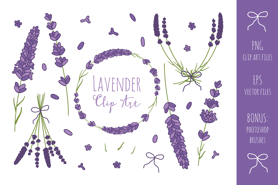 Lavender Branches Clip Art  + Vector