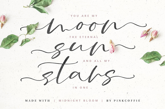 Midnight Bloom Script +18 Free Logos in Script Fonts - product preview 5