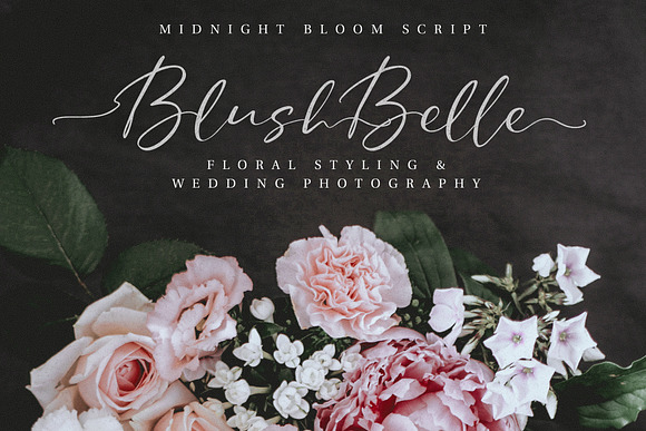 Midnight Bloom Script +18 Free Logos in Script Fonts - product preview 12
