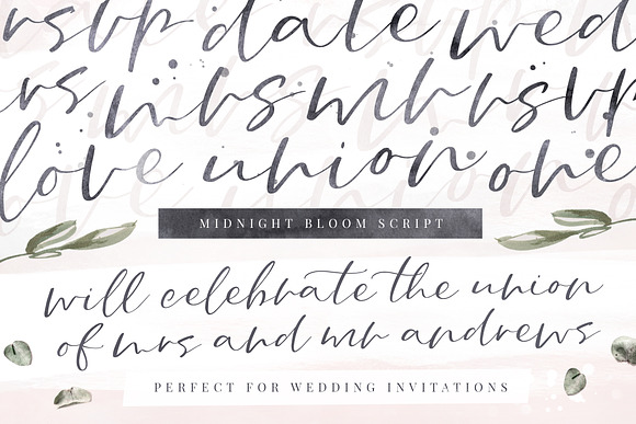 Midnight Bloom Script +18 Free Logos in Script Fonts - product preview 13