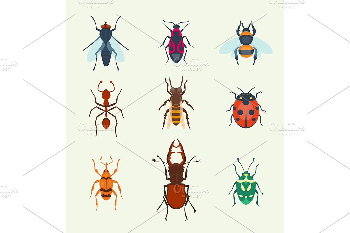 Vector insects icons isolated on in Objects - product preview 8