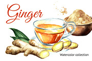 Ginger.Watercolor collection
