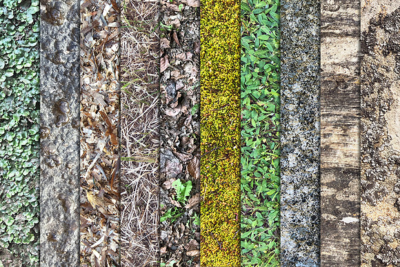 Bundle Nature Textures x50 in Textures - product preview 4