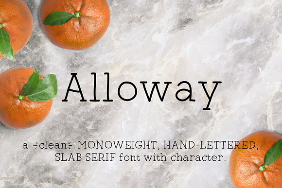 Alloway | Monoweight Serif Font in Slab Serif Fonts - product preview 4