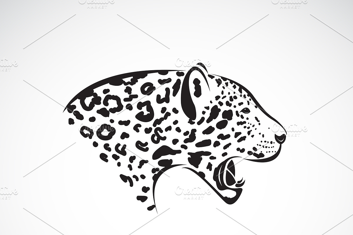 Vector of leopard head. Wild Animal. in Graphics - product preview 8
