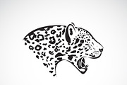 Vector of leopard head. Wild Animal.