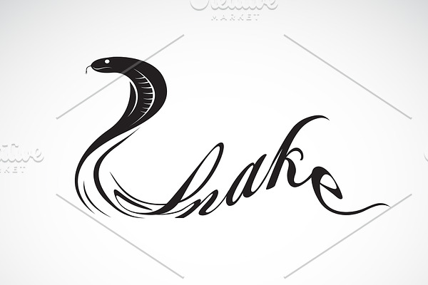 Vector of snake is text. Reptile.