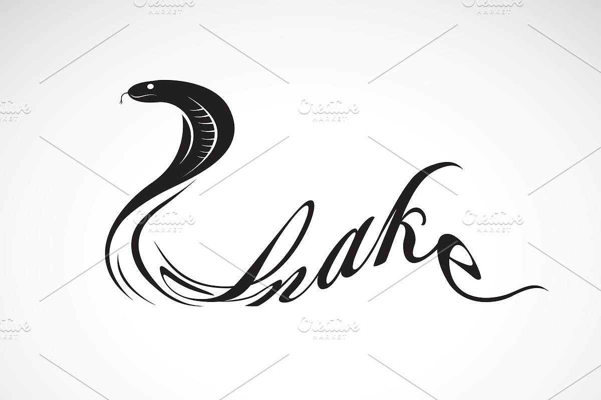 Vector of snake is text. Reptile. in Graphics - product preview 8
