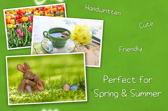 Springtime Daydream in Display Fonts - product preview 2