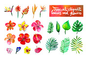 Tropical flowers watercolor set