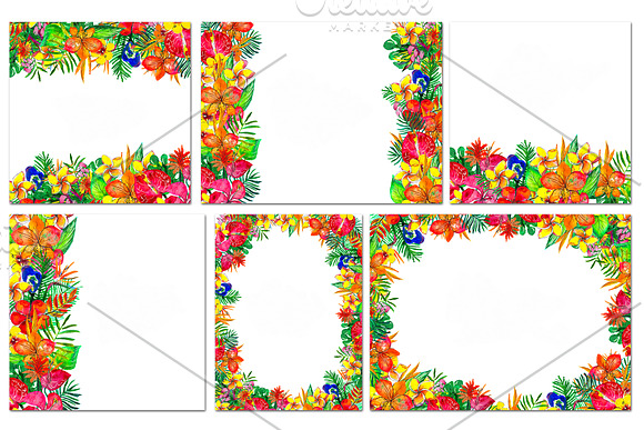 Tropical flowers watercolor set in Patterns - product preview 3