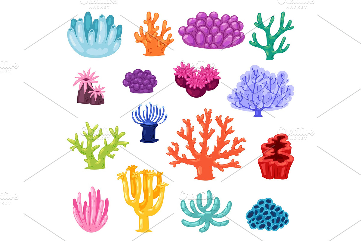 Coral vector sea coralline or exotic in Illustrations - product preview 8