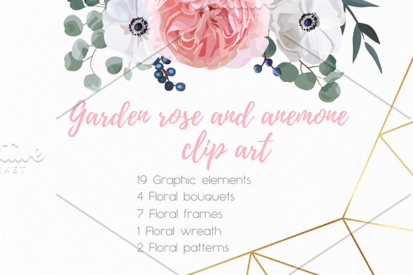 Floral Design Set - Garden Rose in Illustrations - product preview 1