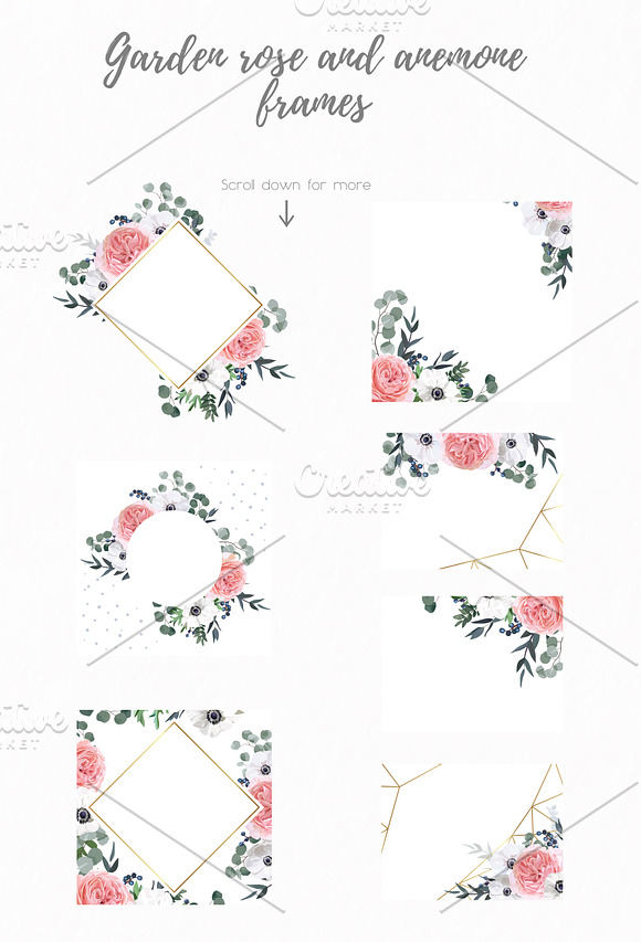Floral Design Set - Garden Rose in Illustrations - product preview 4