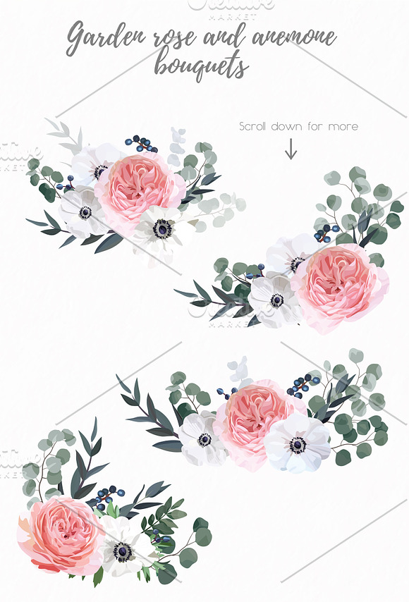 Floral Design Set - Garden Rose in Illustrations - product preview 5