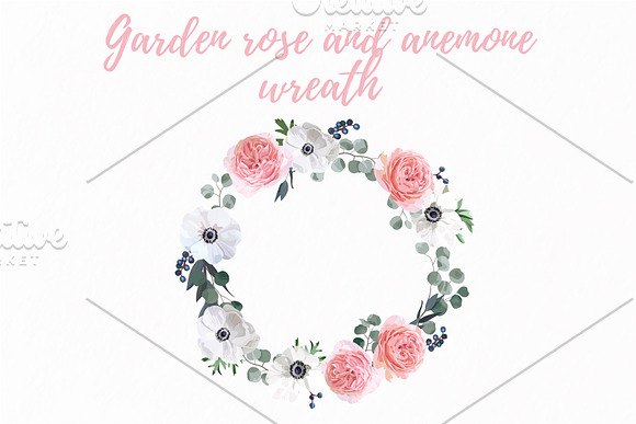 Floral Design Set - Garden Rose in Illustrations - product preview 6