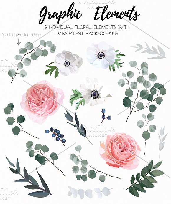 Floral Design Set - Garden Rose in Illustrations - product preview 8