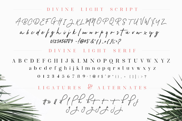 Divine Light Font Duo and extras in Script Fonts - product preview 5