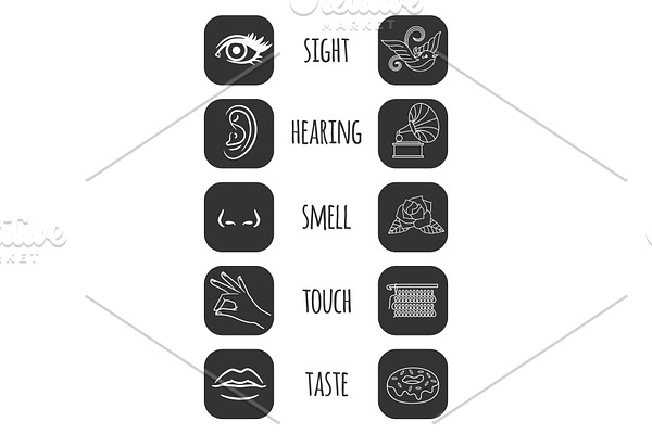 Five senses icons vector