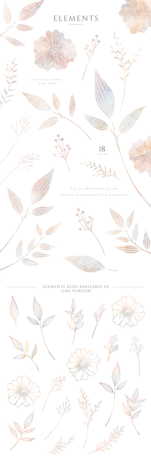 MISTY - Floral Graphics and Monogram in Illustrations - product preview 2
