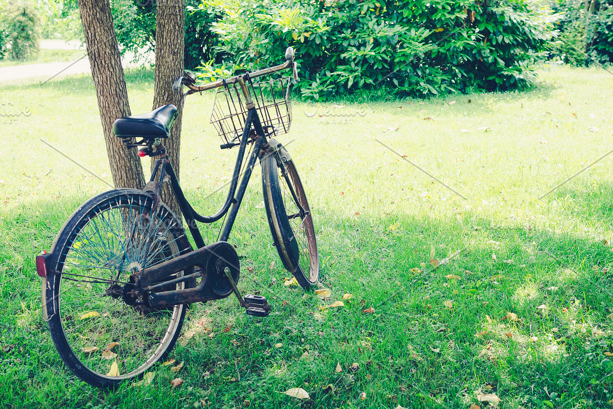 Vintage bicycle waiting near tree in Illustrations - product preview 8