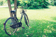 Vintage bicycle waiting near tree