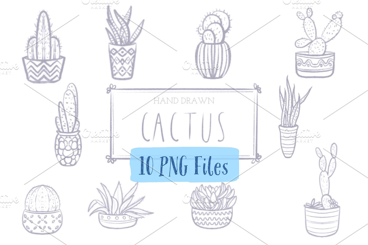 Hand Drawn Cactus Set in Illustrations - product preview 8