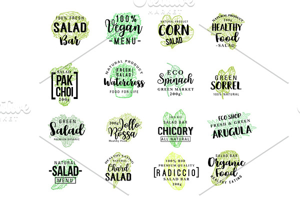 Salads vegetables vector lettering