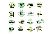 Salads vegetables vector lettering