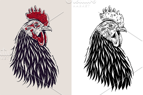Rooster | Vector Art and Design in Illustrations - product preview 2