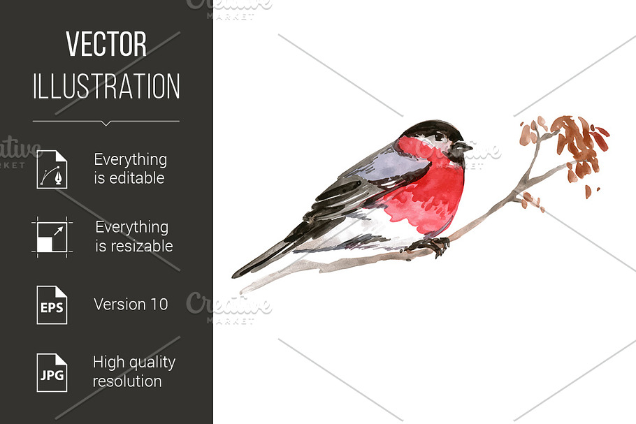 Watercolor Bird in Graphics - product preview 8