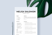 Resume Template 1 page | "Milan"