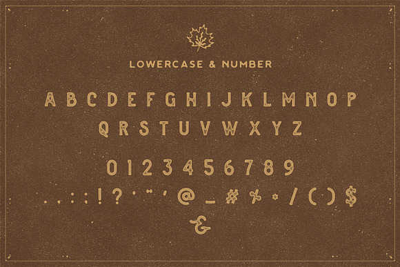 The Brewski - Textured Typeface in Custom Fonts - product preview 2
