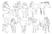 Vector image set of an horse on