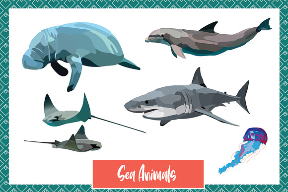Wild World Animal Vectors in Graphics - product preview 1