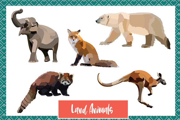 Wild World Animal Vectors in Graphics - product preview 2