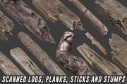 Scanned Logs, Planks, Sticks, Stumps