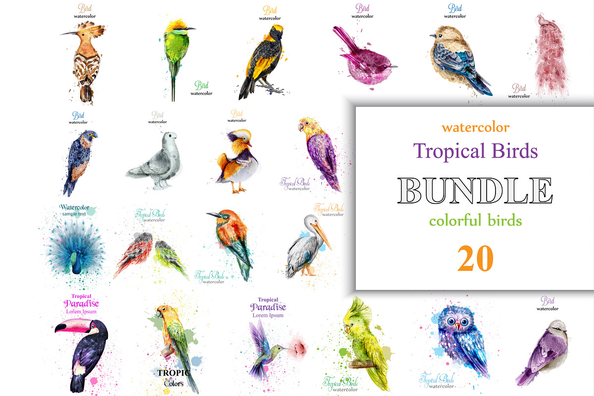 Vector bundle 20 watercolor birds in Objects - product preview 8