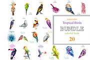 Vector bundle 20 watercolor birds