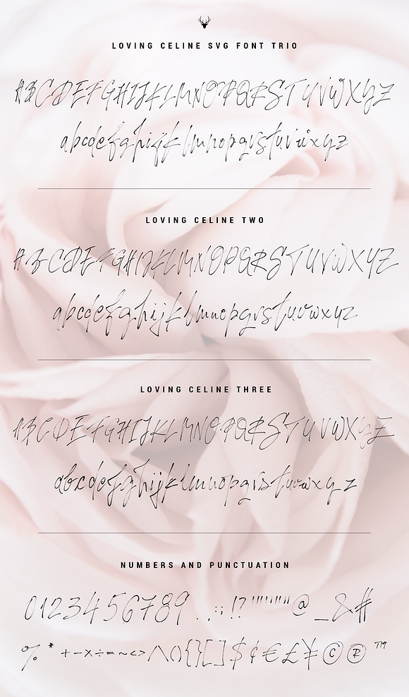 LovingCeline SVG Script Brush Font in Script Fonts - product preview 9