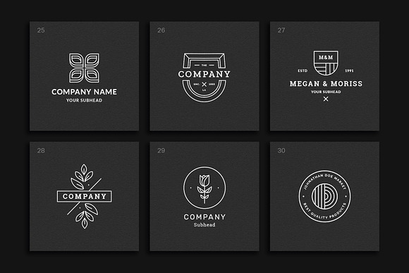 30 Stylish Logos in Logo Templates - product preview 9