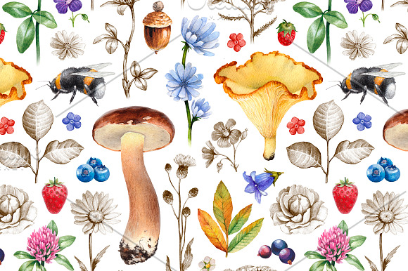 Summer nature illustrations kit in Illustrations - product preview 3