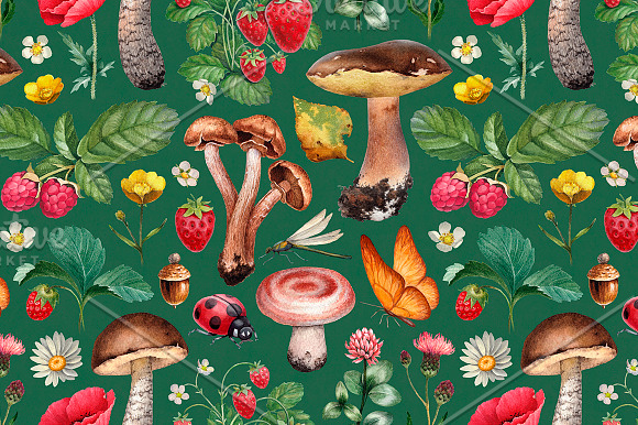 Summer nature illustrations kit in Illustrations - product preview 4