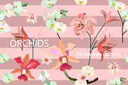 Tropical Orchids