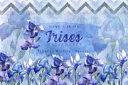Nice blue irises PNG watercolor set