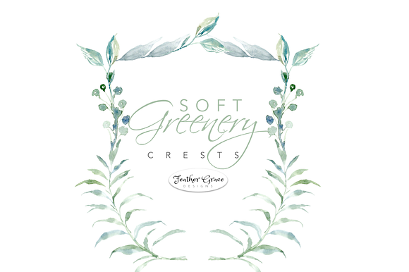 Watercolor Greenery & Wreaths in Illustrations - product preview 5