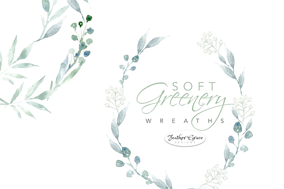 Watercolor Greenery & Wreaths in Illustrations - product preview 7