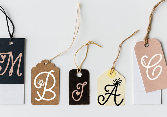 Handwritten Monogram Font - 4 Styles in Display Fonts - product preview 4