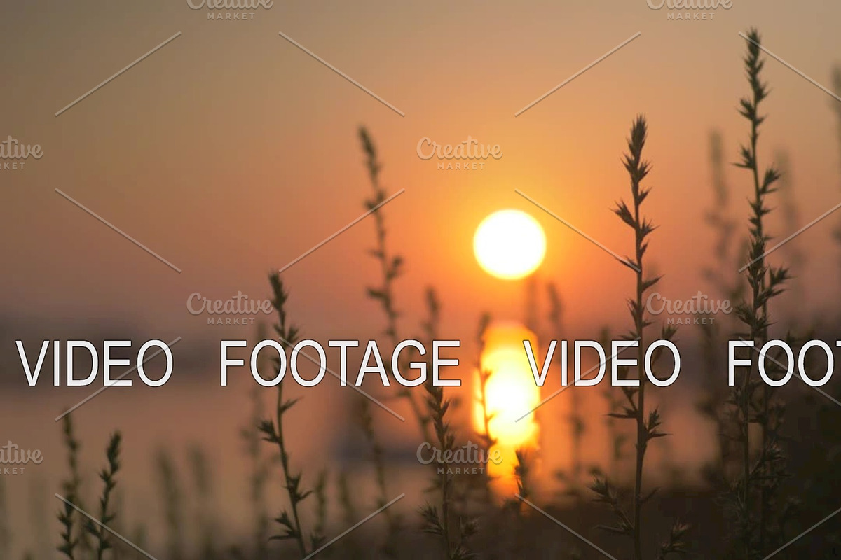 Nature scene with grass and sunset in Graphics - product preview 8